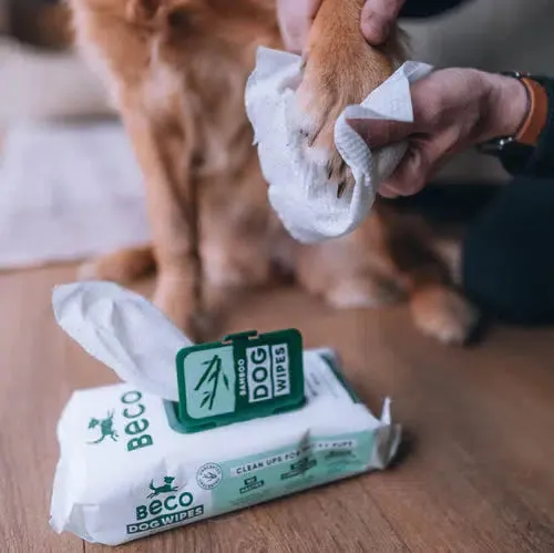 Beco - Bamboo Dog Wipes- Unscented