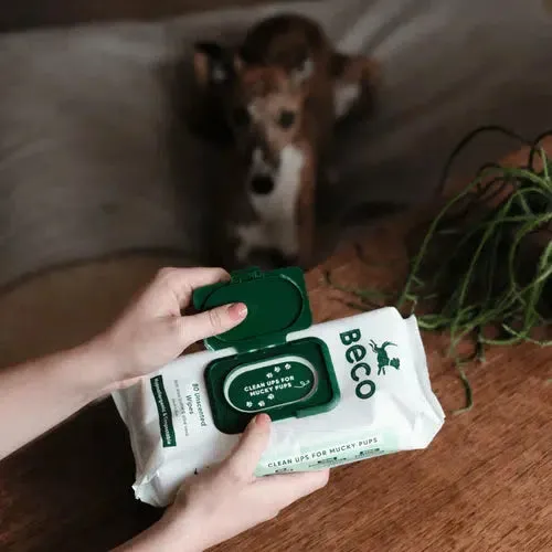 Beco - Bamboo Dog Wipes- Unscented