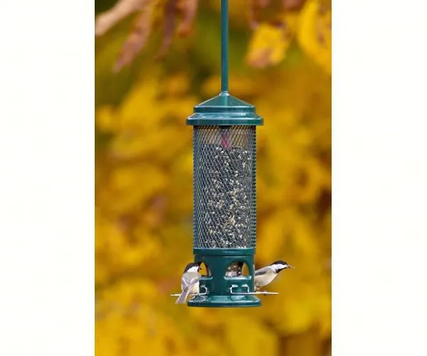 Brome Squirrel Buster Legacy Wild Bird Feeder 1082 Squirrel Proof