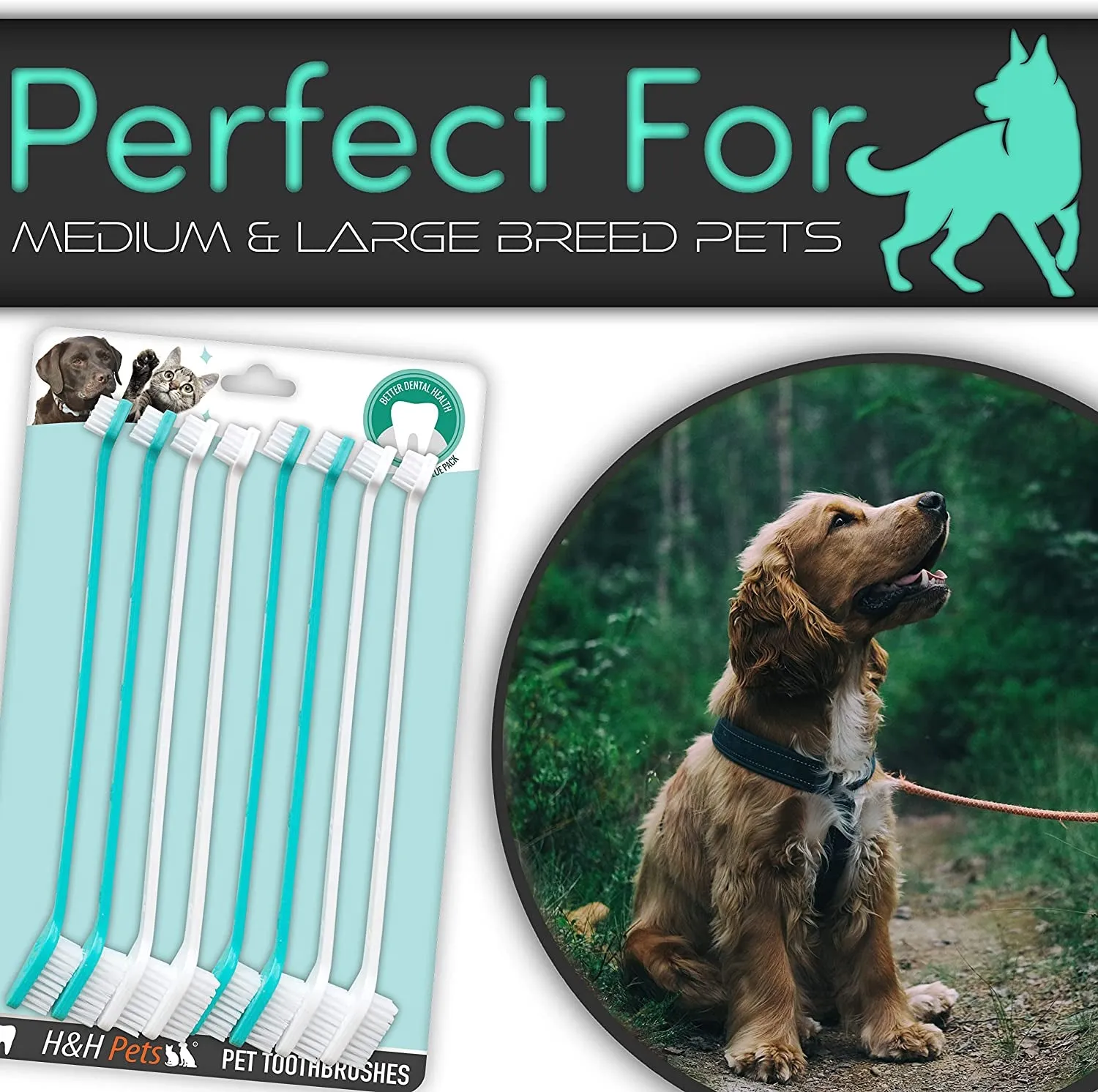 Dog Toothbrushes - Dual Head (Small/Large)