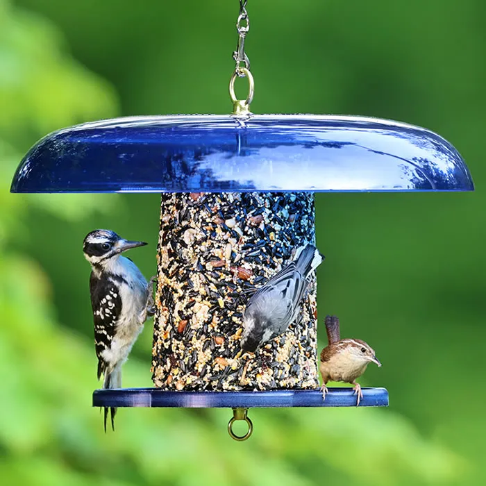 Duncraft Blue Baffled Seed Cylinder Feeder