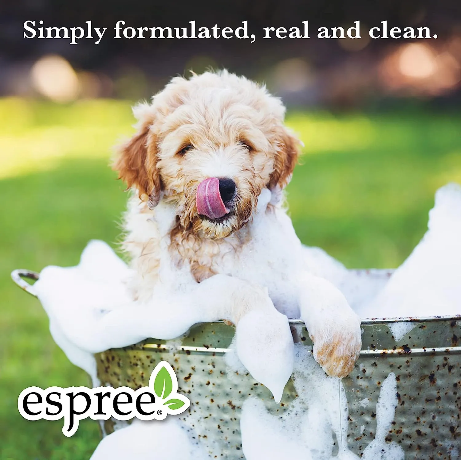 Espree - Rainforest Shampoo (12 oz)