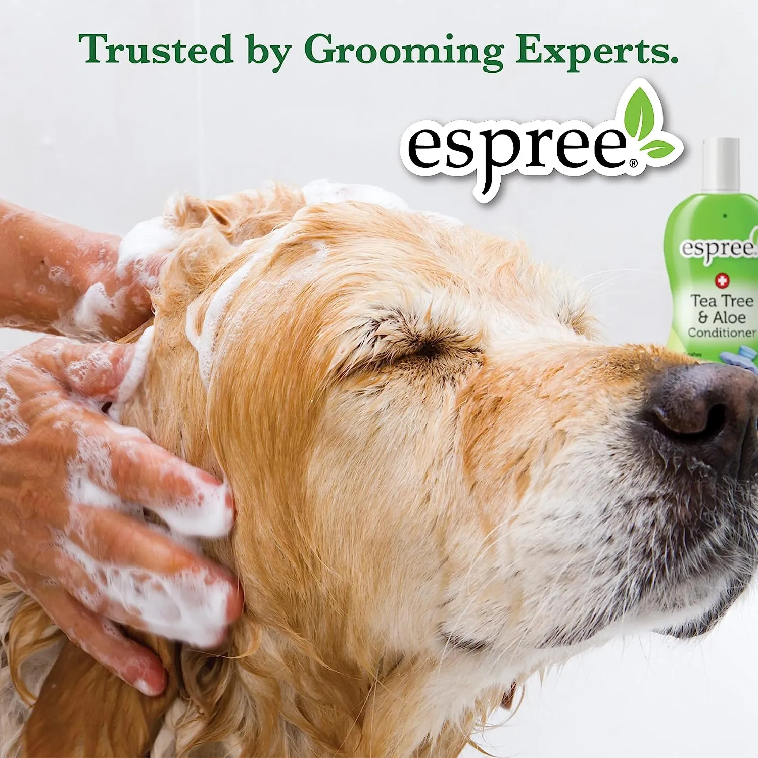 Espree - Rainforest Shampoo (12 oz)