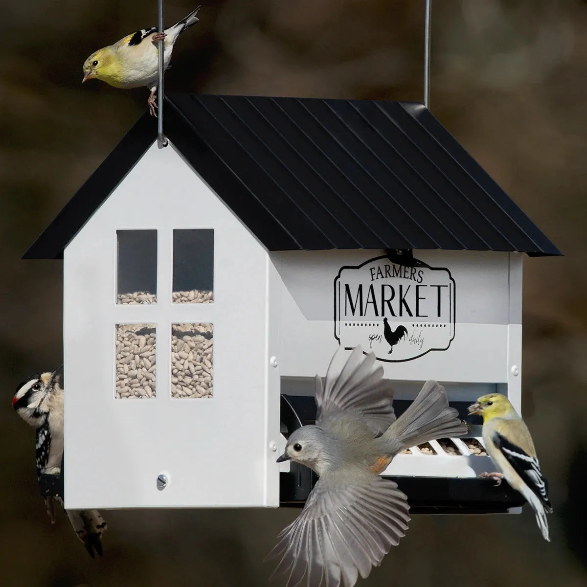 Squirrel Shield Hopper Feeder