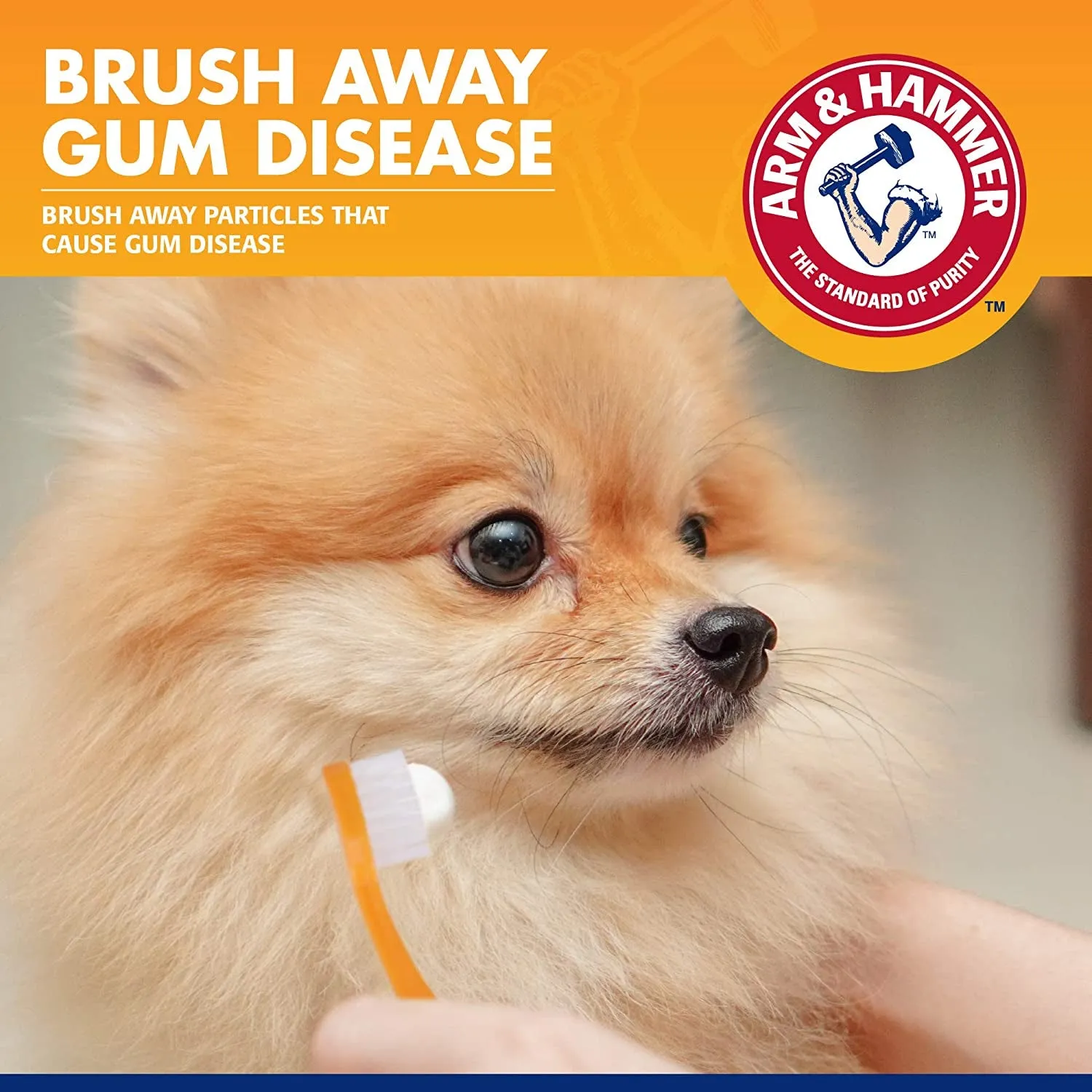 Toothbrush & Cover for Small Dogs