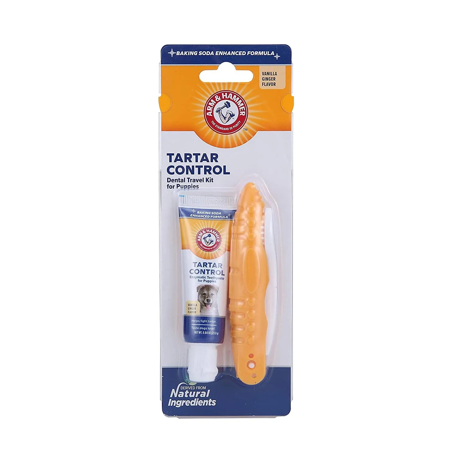 Toothbrush & Cover for Small Dogs
