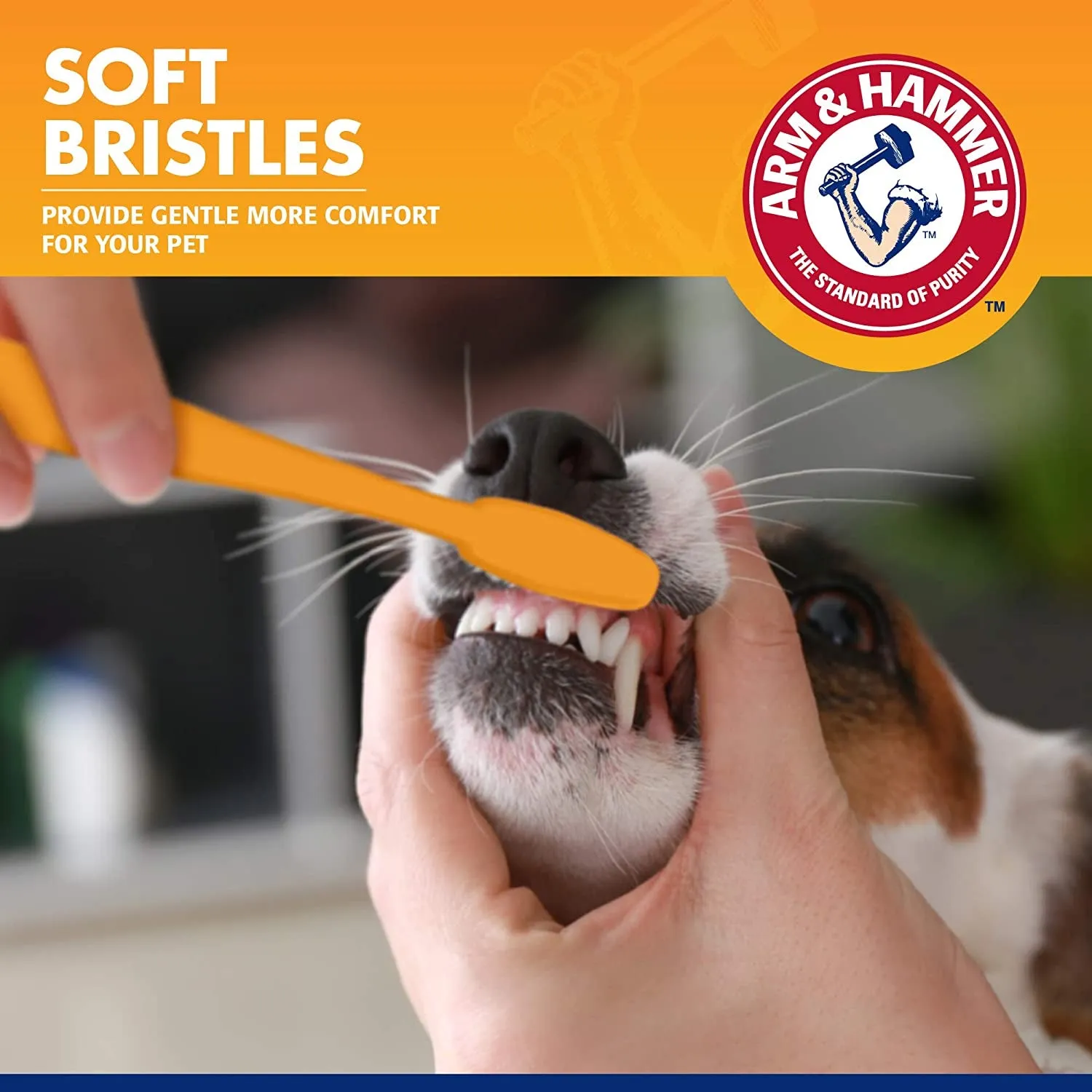 Toothbrush & Cover for Small Dogs