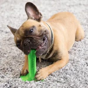 Toothbrushes For Dogs | Silicone Pet Toothbrush