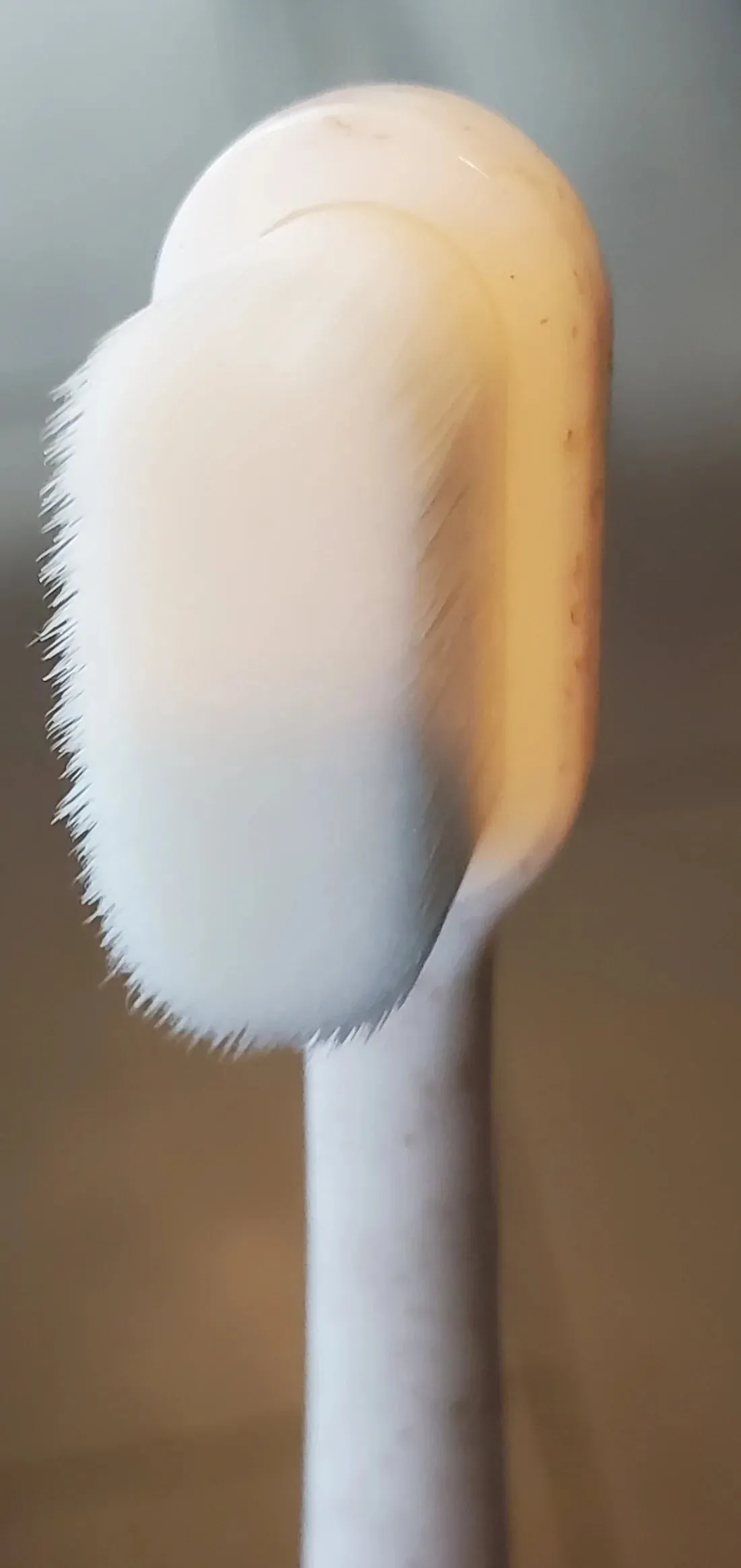 Wag & Bright Puppy Polisher Eco Toothbrush